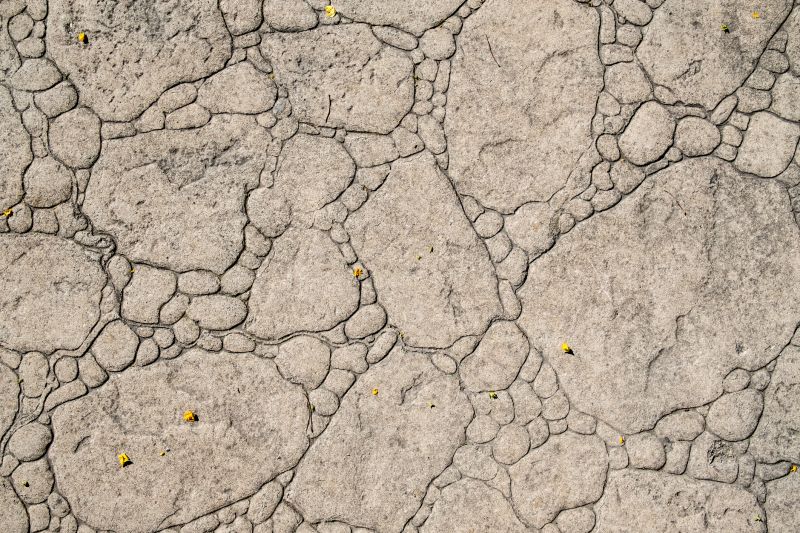 Decorative Concrete Repair in Brighton, MI